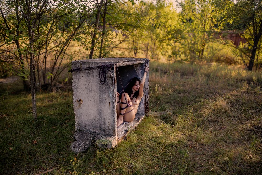 Фотография автора Dmitri Gorbunov