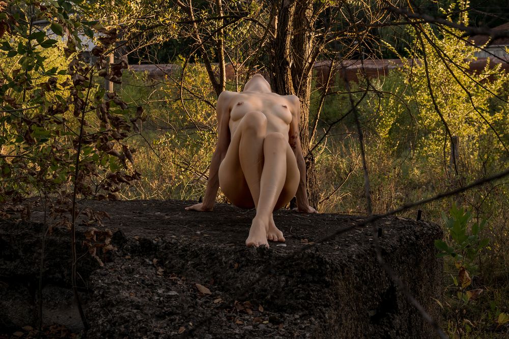 Фотография автора Dmitri Gorbunov