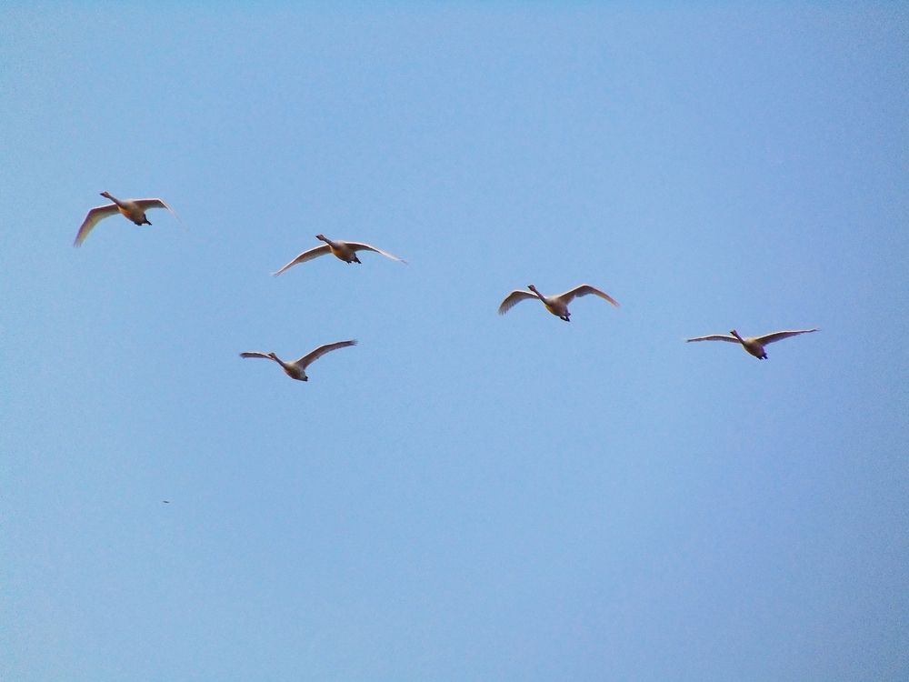 Photograph by Юрий Зуйков