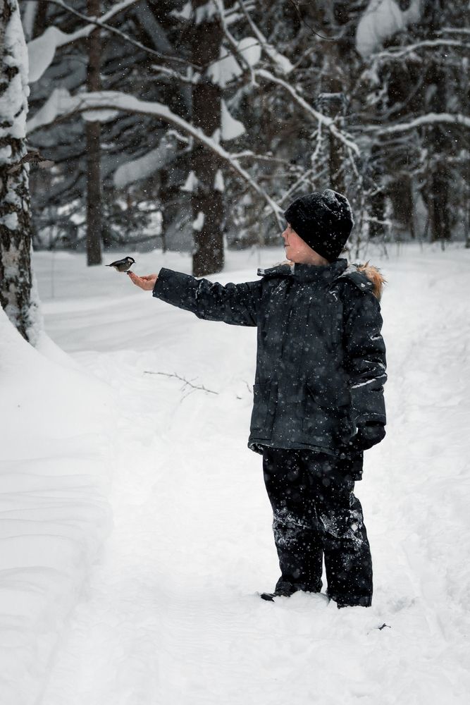 Photograph by Щепанов Дмитрий