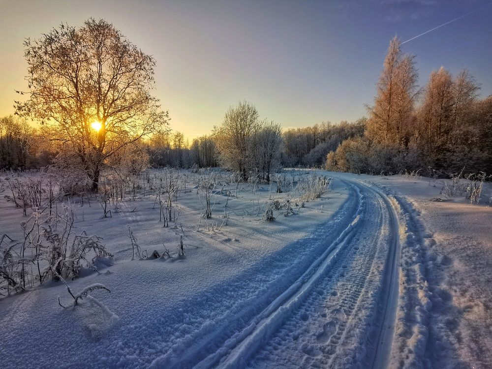 Фотография автора Андрей Шестаков