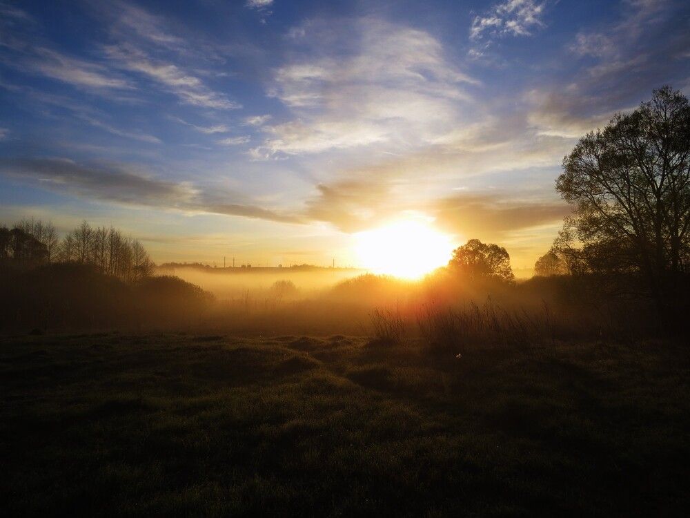 Photograph by Лариса Басова