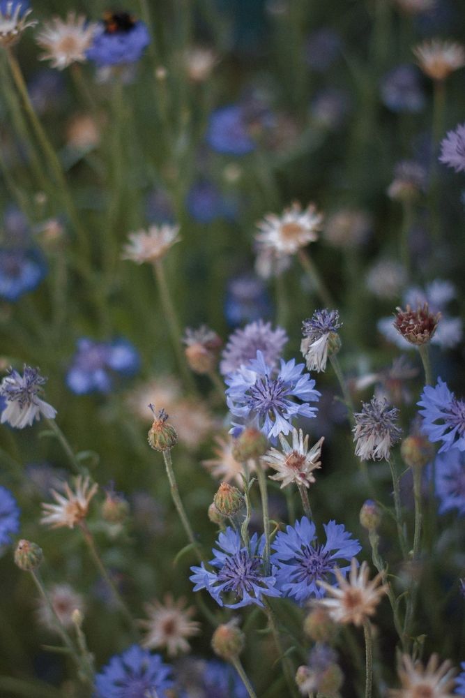 Photograph by Надежда Виденина