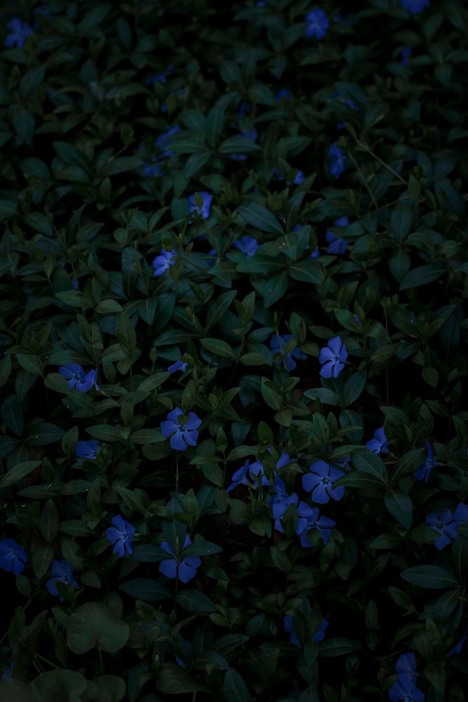 Photograph by Надежда Виденина