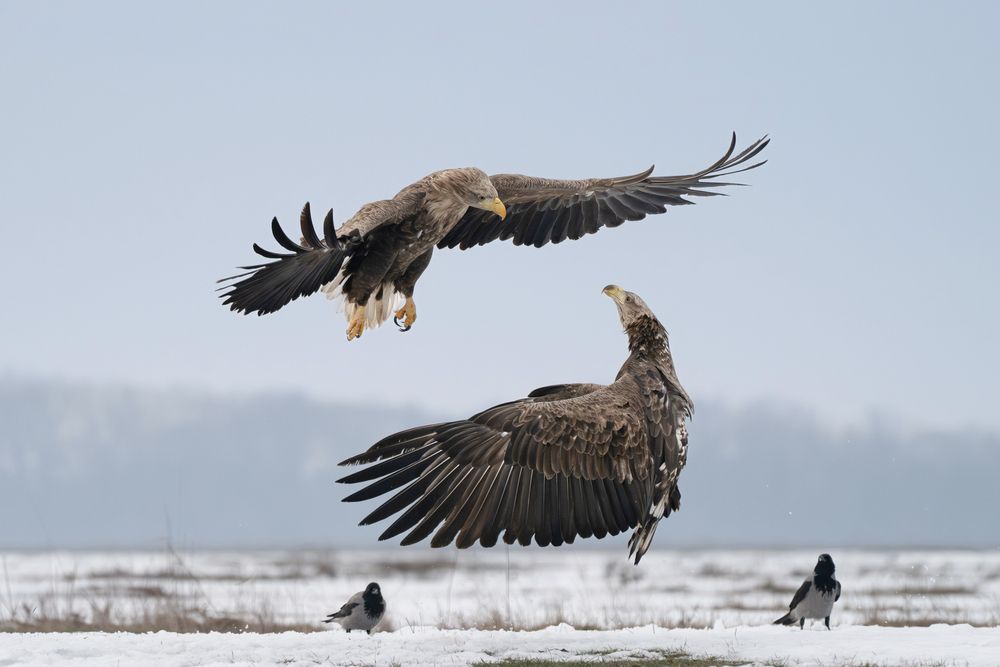 Photograph by Dejan Zakic