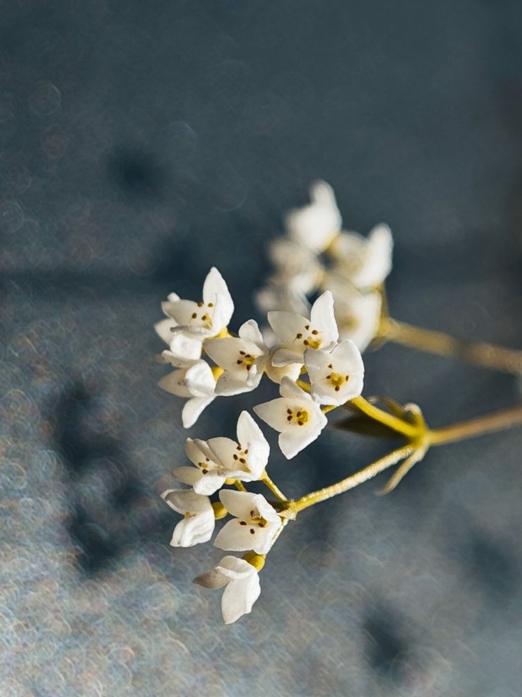 Photograph by Надежда Кангина
