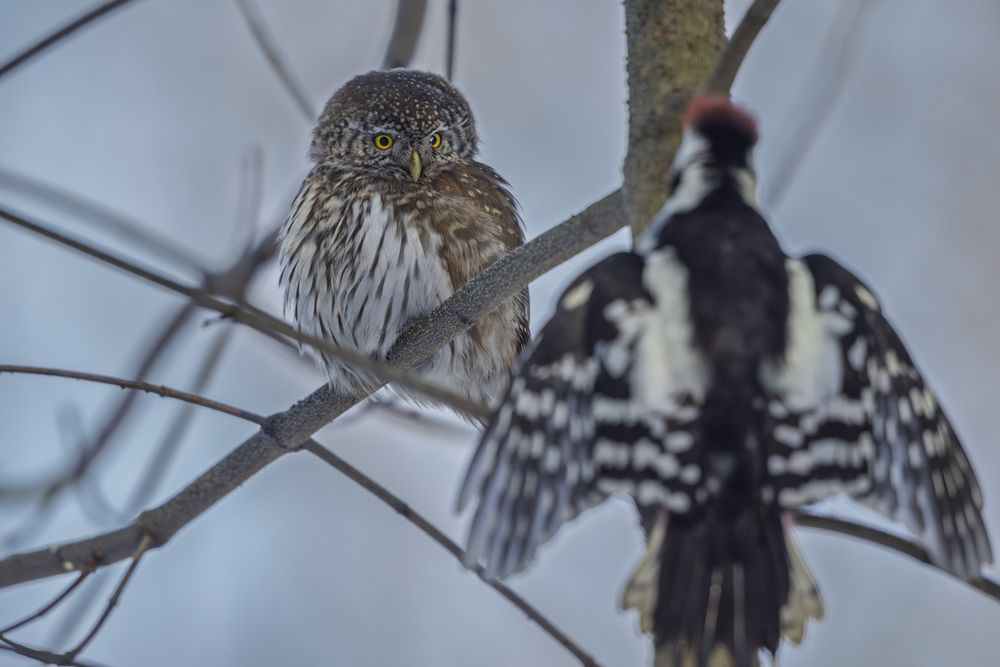Photograph by Дмитрий Крошка
