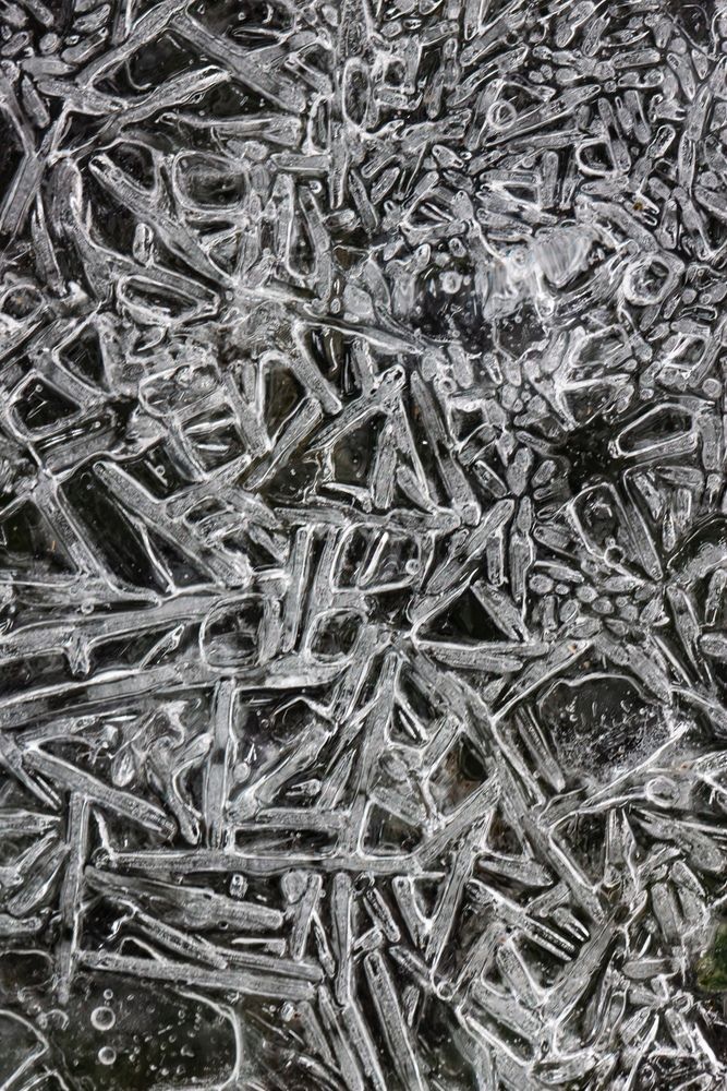 Photograph by Виктория