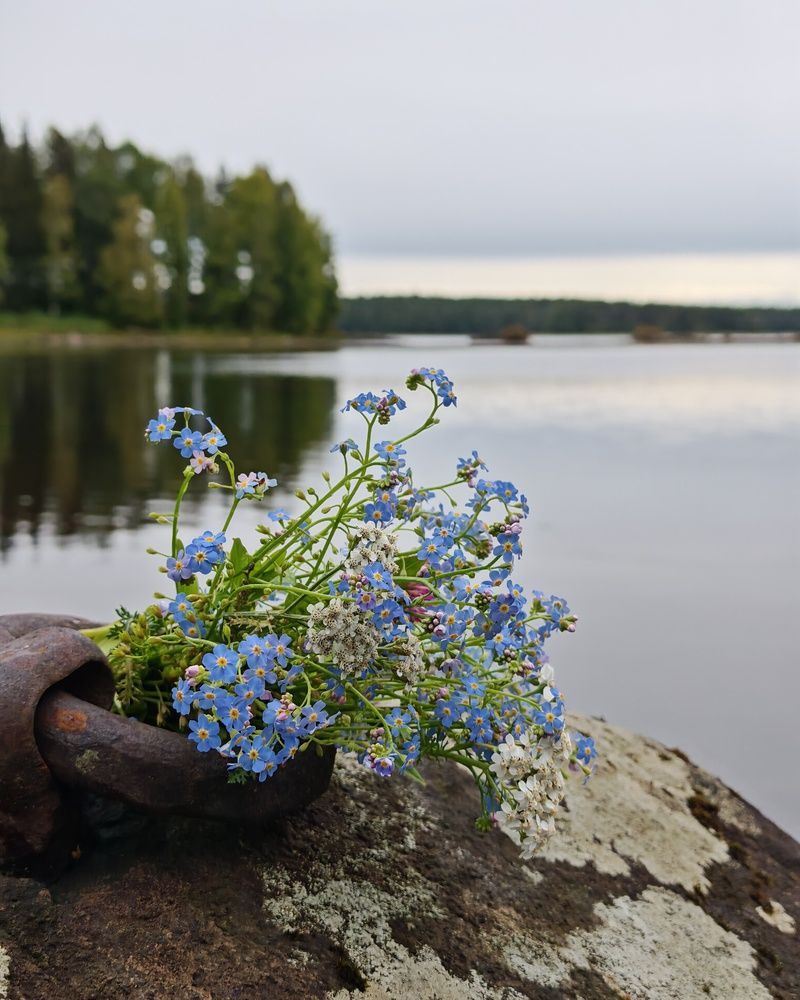 Фотография автора OLga Piirainen