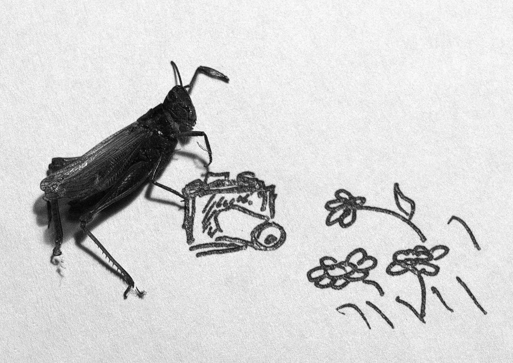 Фотография автора Е лена Е