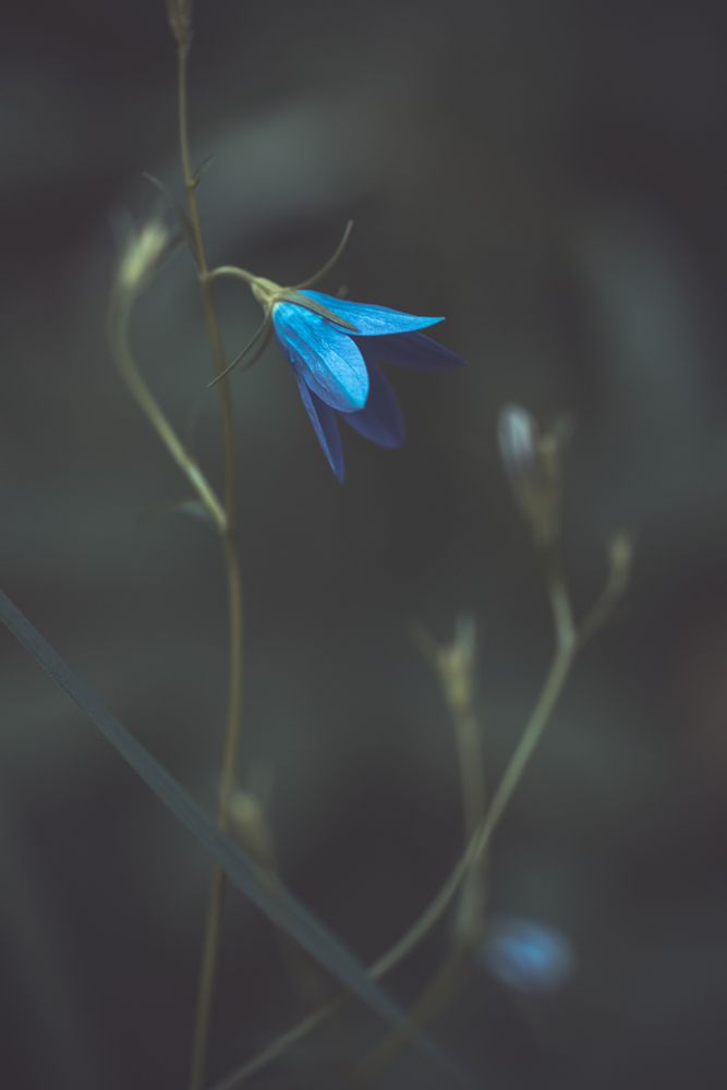 Фотография автора Войнов Дмитрий