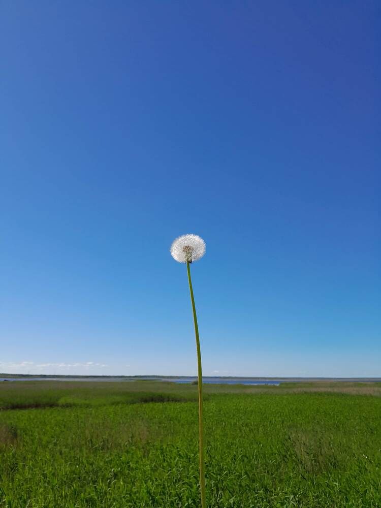 Photograph by Виталий Глазачев