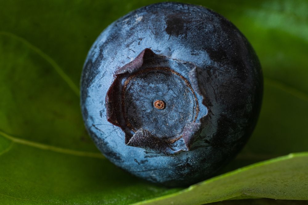 Photograph by БОРИС БЕЛКАНИЯ