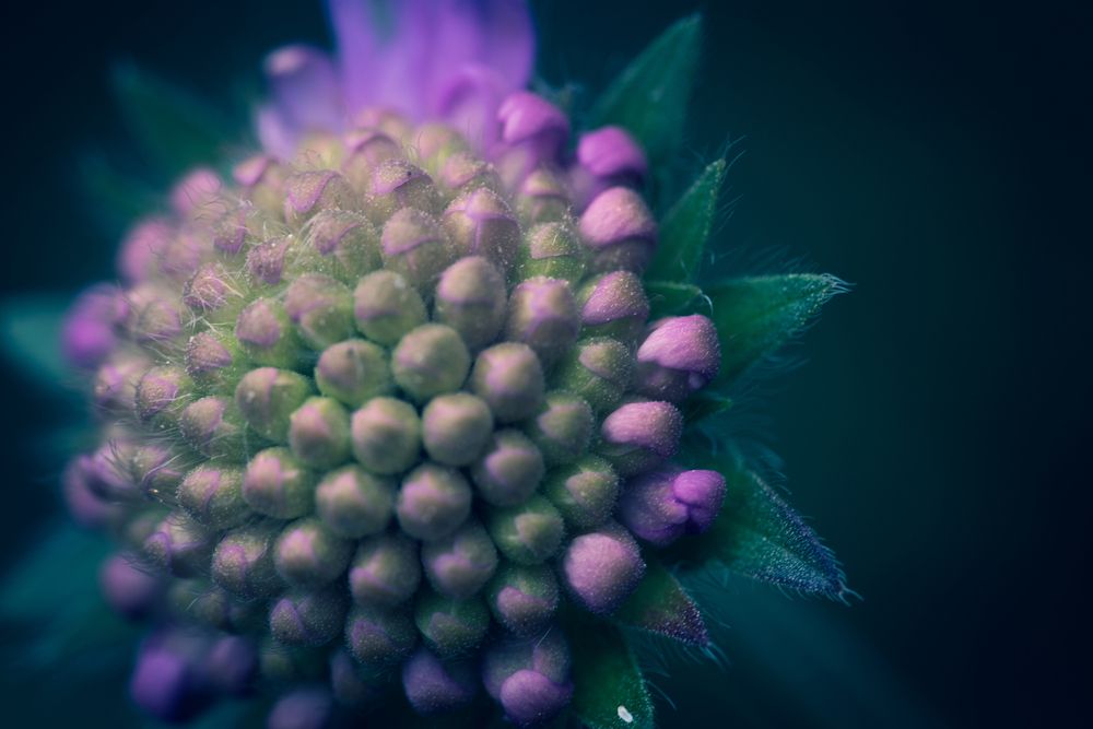 Фотография автора Войнов Дмитрий