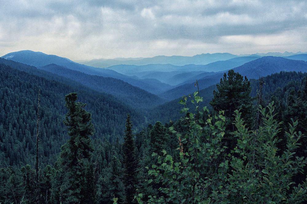 Photograph by София Гавриловна Вотякова