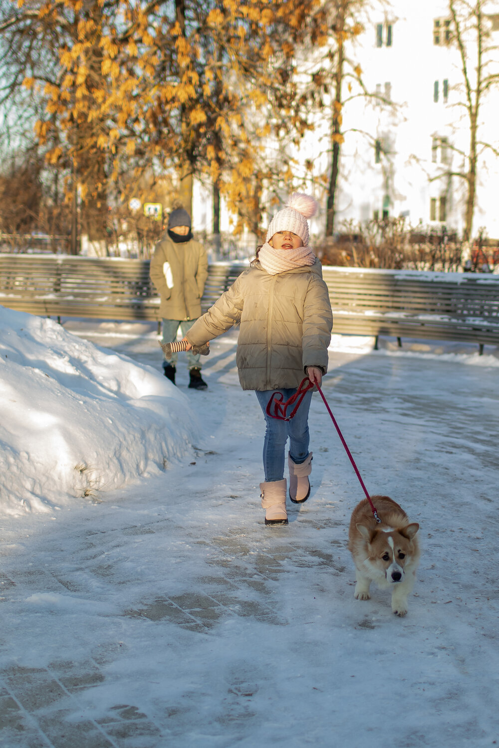 Photo #13178247