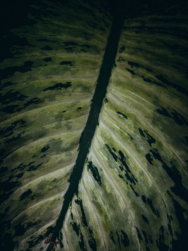 Photograph by Марина Харитонова