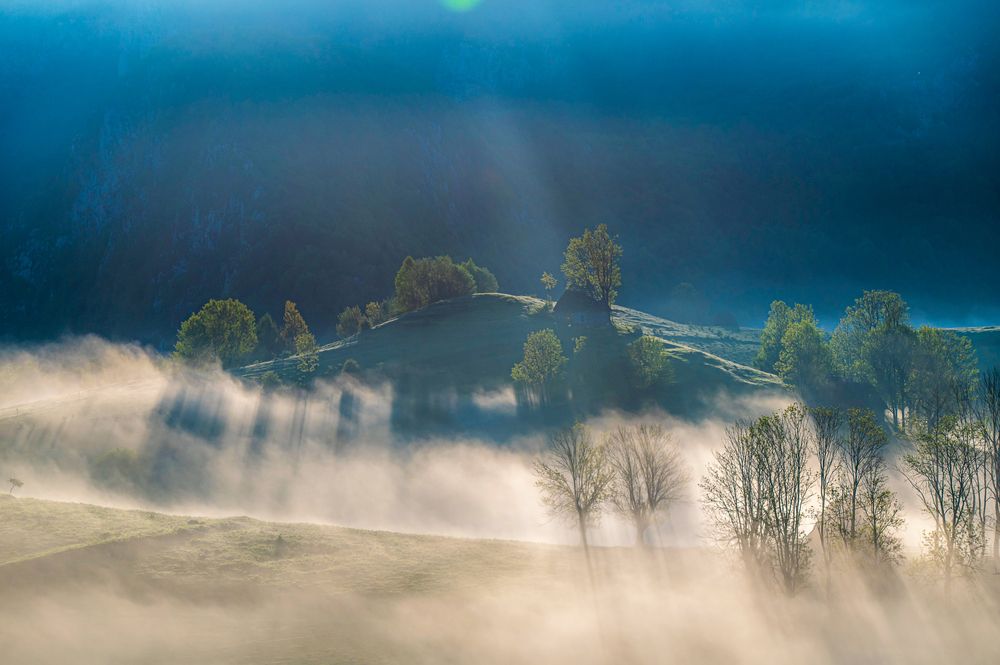 Photograph by levi bagy