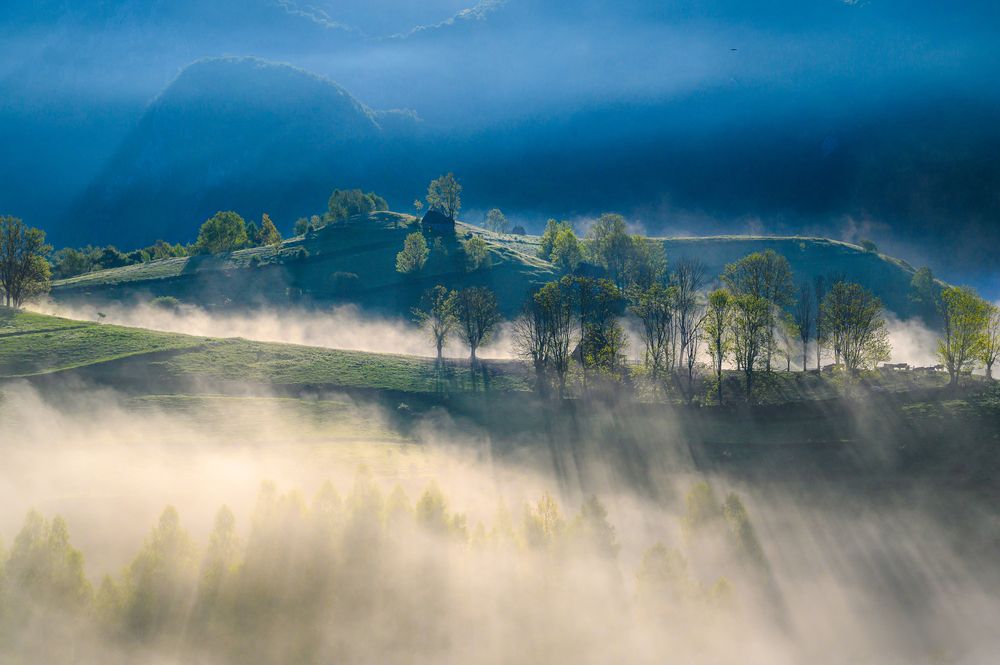 Photograph by levi bagy