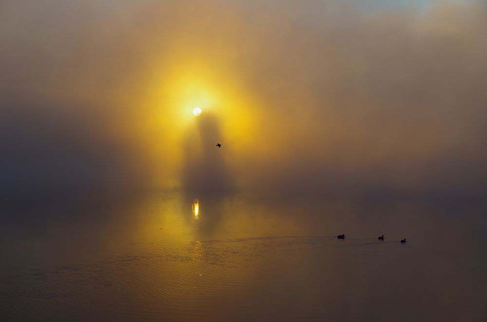 Photograph by Шляга Сергей