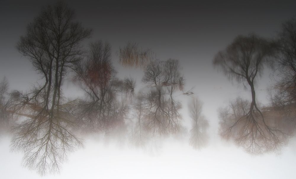 Photograph by Шляга Сергей