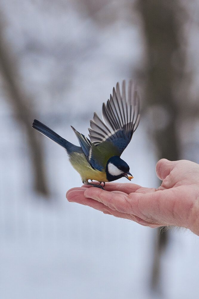 Photograph by Александр Лиманский