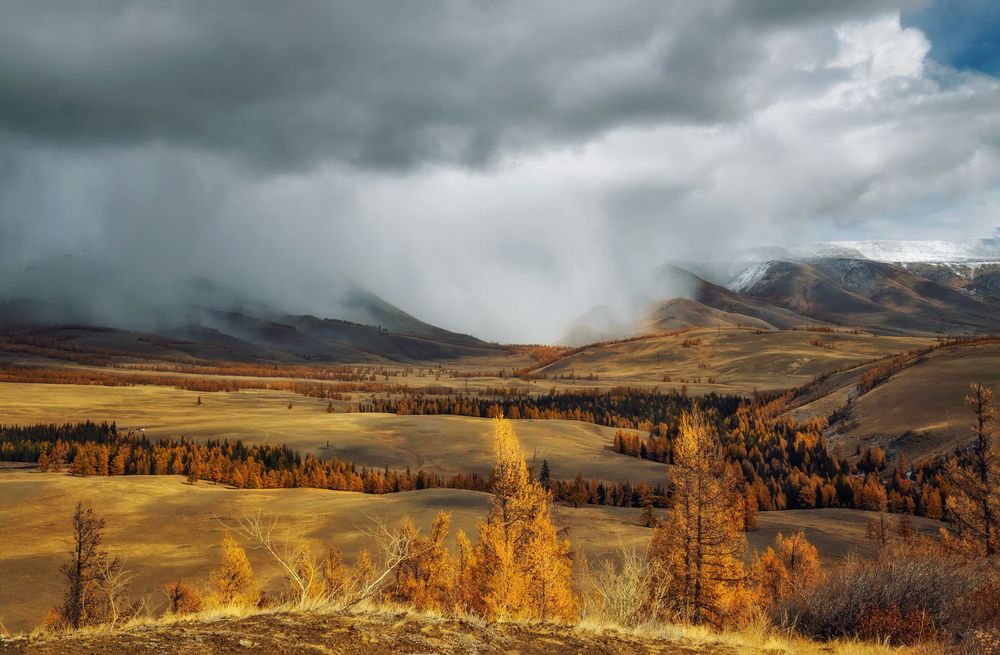 Photograph by Лора Павлова