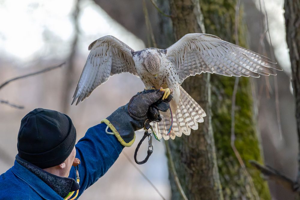 Photograph by Вера Машина
