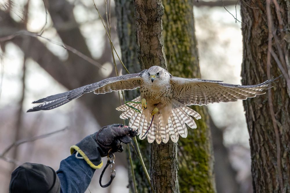 Photograph by Вера Машина