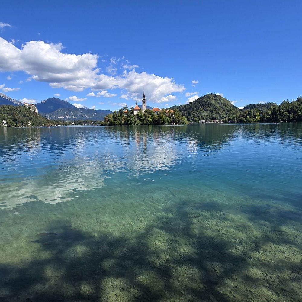 Фотография автора Yulia Rotbach