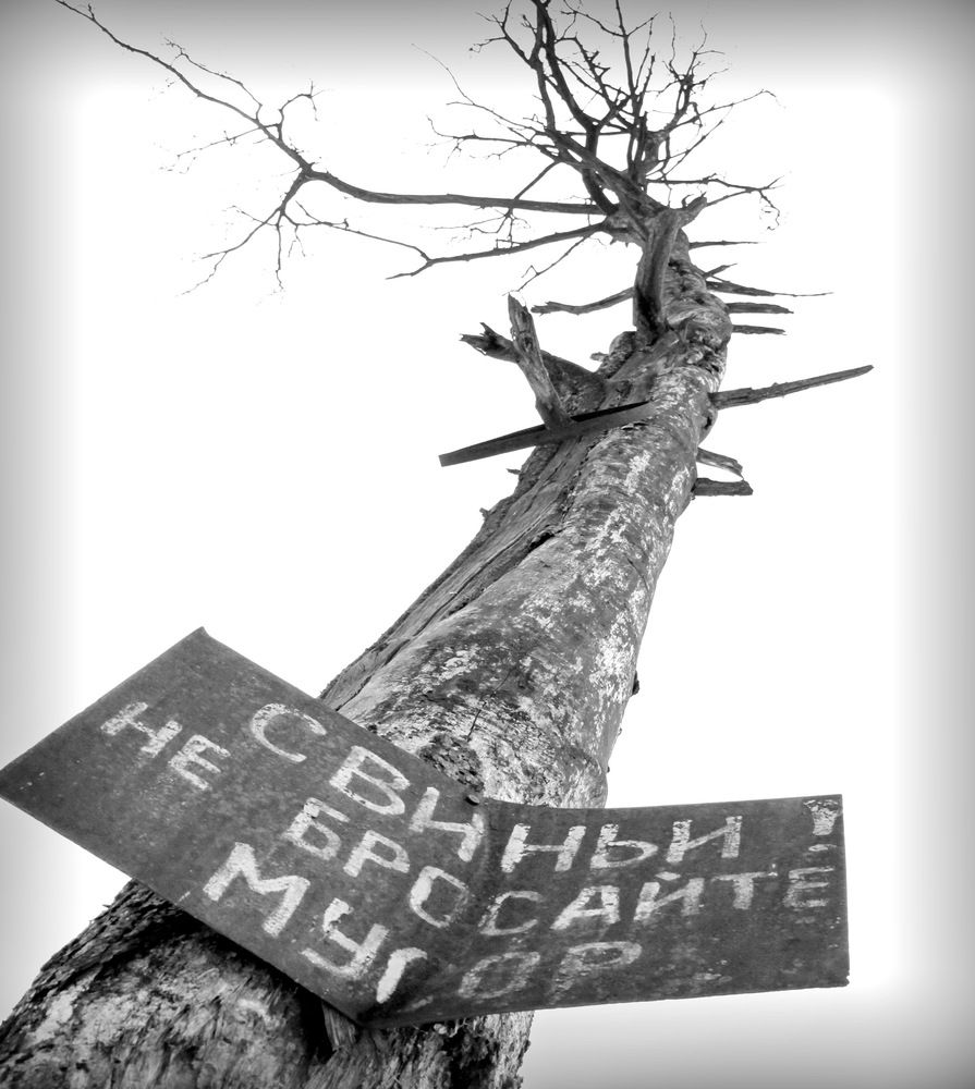 Фотография автора Панюшкин Владислав Владимирович