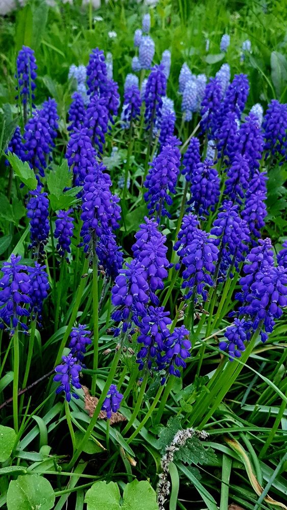 Photograph by Виктория Образцова