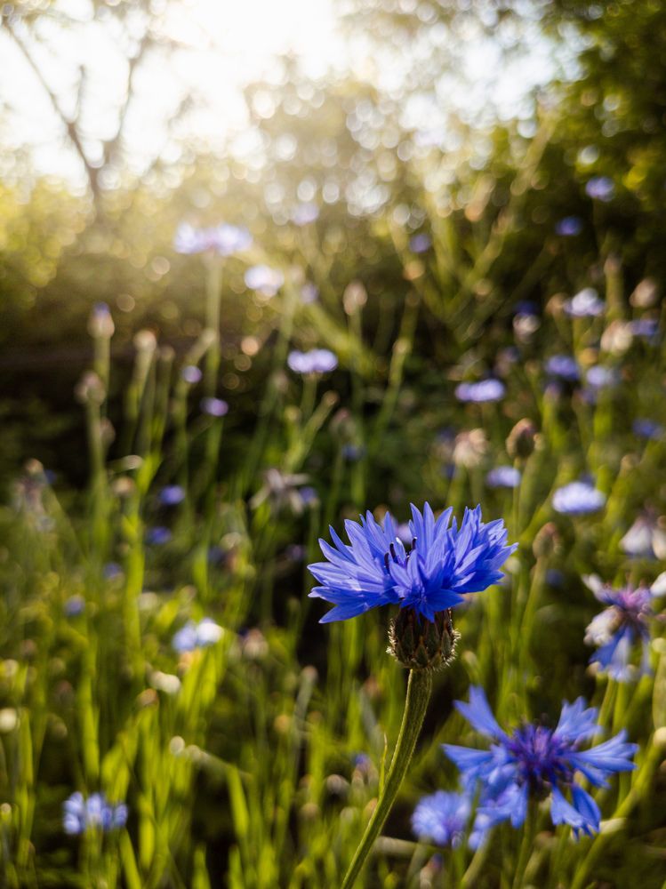 Photograph by Алексей Юдин