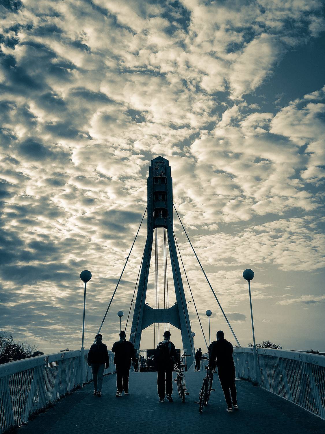 Вечерние силуэты