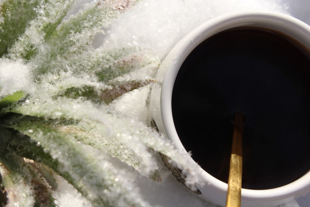 Photograph by Юлия