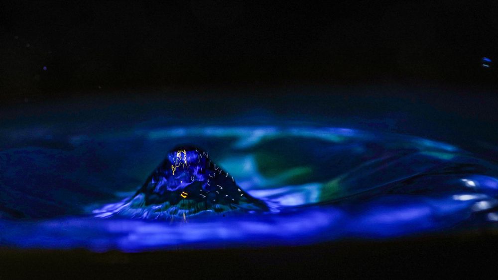 Photograph by Sergey M