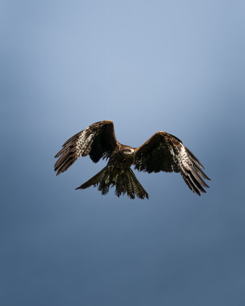 Photograph by Мозжухин Максим