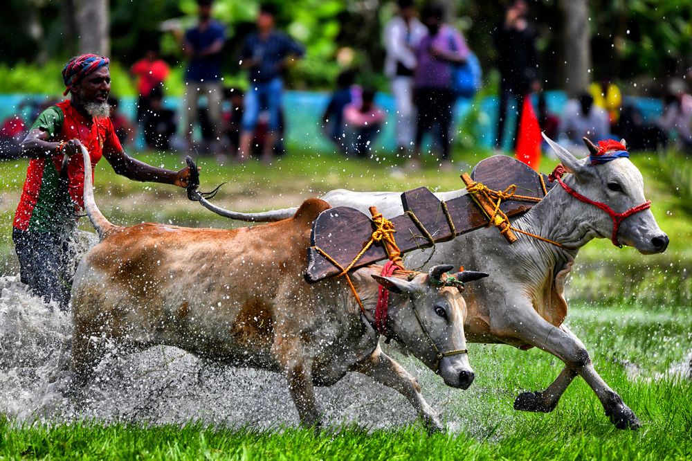 Photograph by Avishek Das