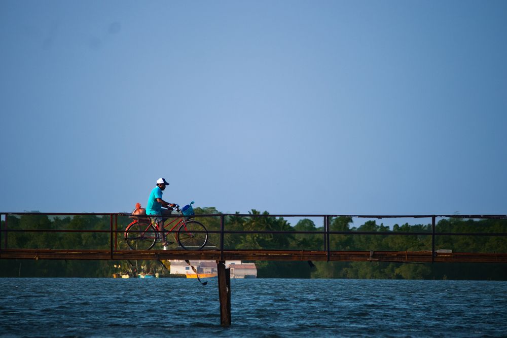 Фотография автора GOKUUL T