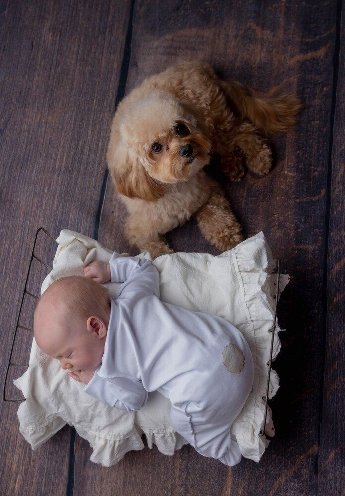 Photograph by Татьяна Леванова