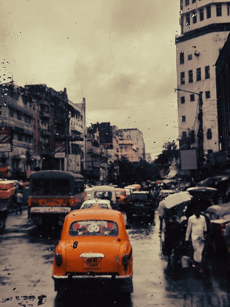 Wrapped in Rain