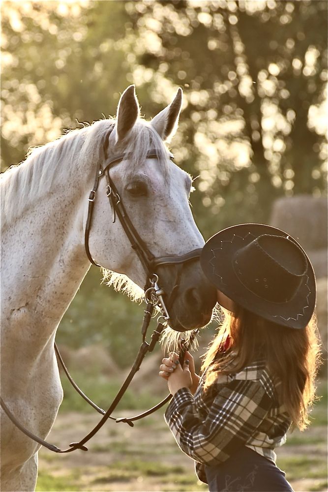 Photo #13178603