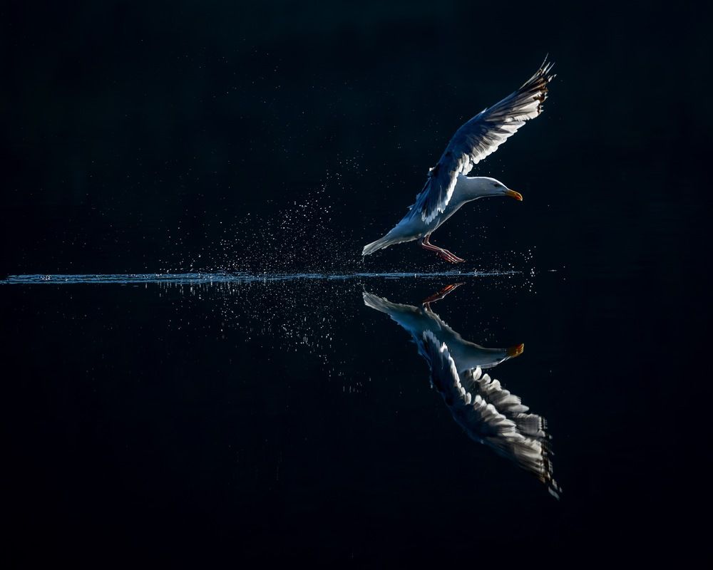 Photograph by Silvia Ribeiro