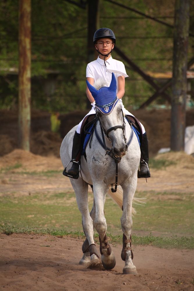 Photo #13178611