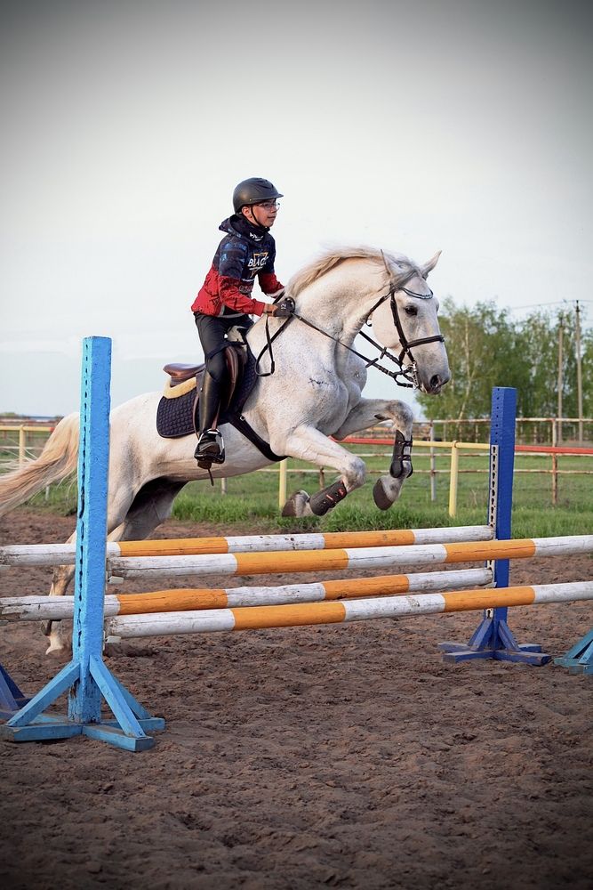 Photo #13178613