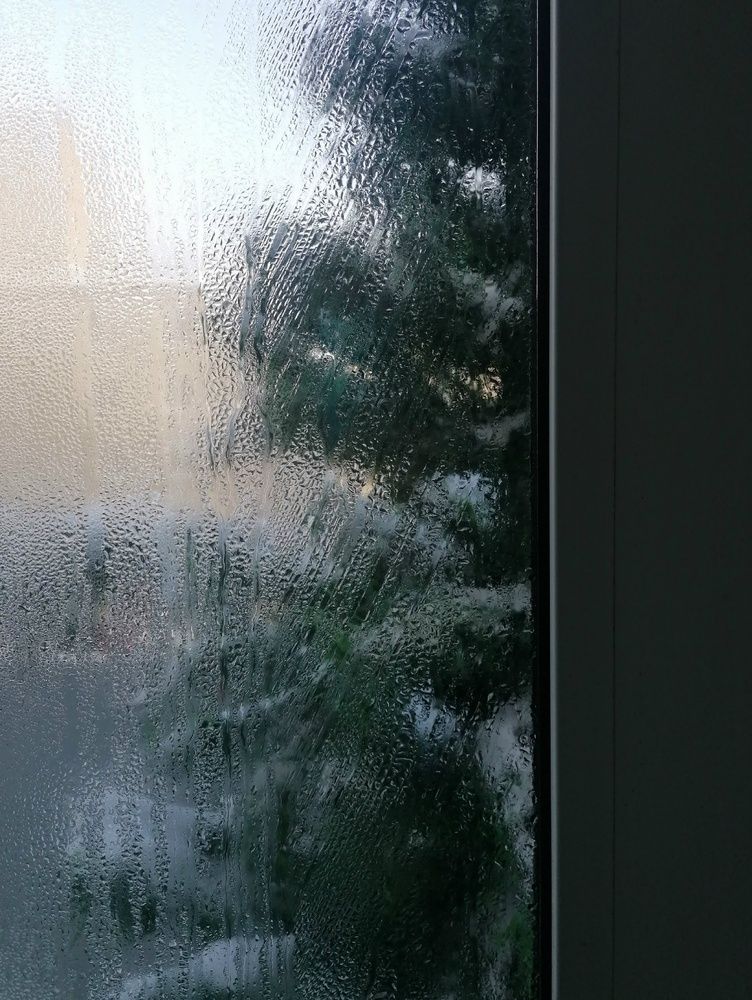 Фотография автора Галина Пылаева