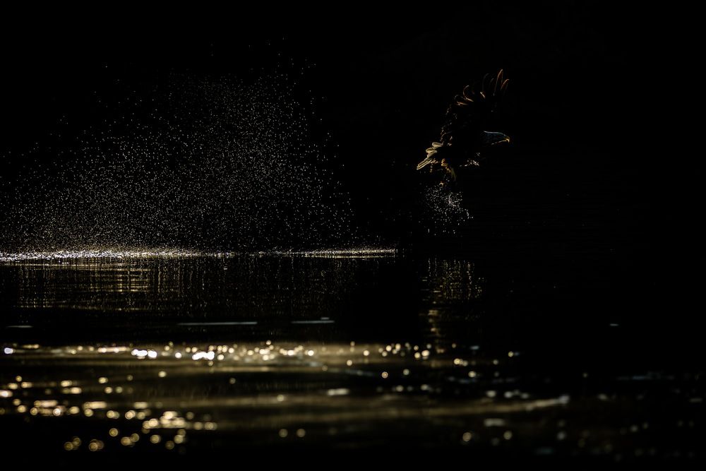 Photograph by Silvia Ribeiro