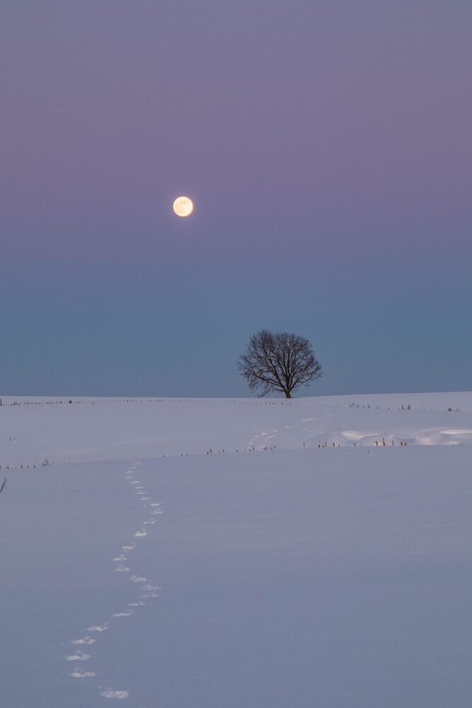 Photograph by Еловик Валерий