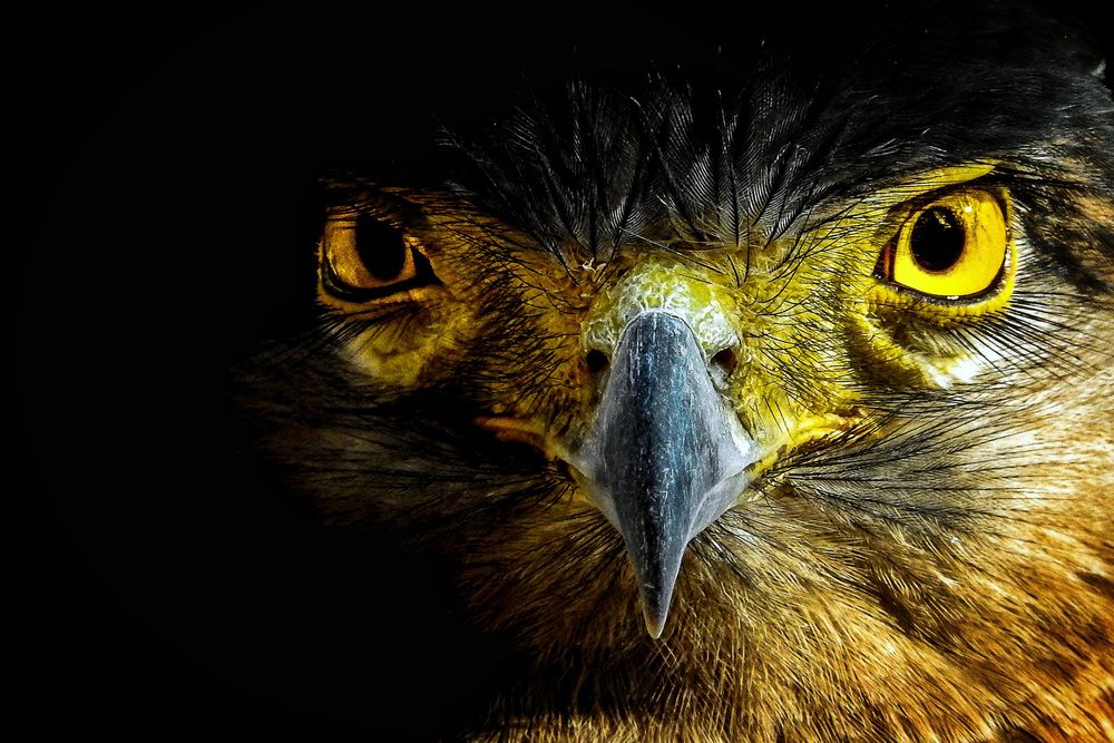 Photograph by Tanusri RoyChowdhury