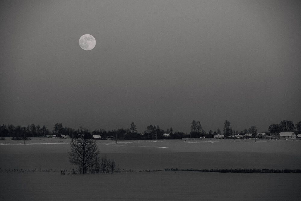 Photograph by Еловик Валерий